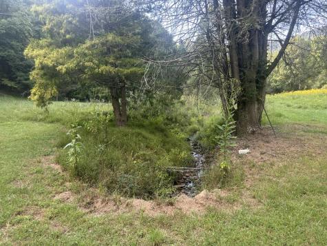 191 NW Roach Cove Road Hayesville NC 28904