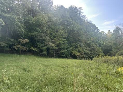 191 NW Roach Cove Road Hayesville NC 28904