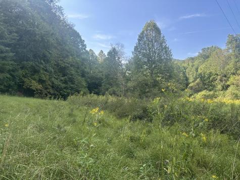 191 NW Roach Cove Road Hayesville NC 28904