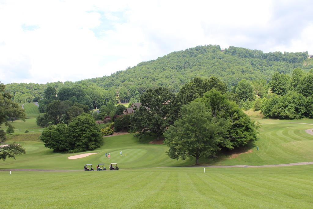 Lot 133a Mountain Harbour Drive Hayesville NC 28904
