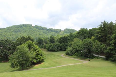 Lot 133a Mountain Harbour Drive Hayesville NC 28904