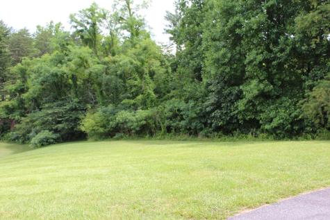 Lot 133a Mountain Harbour Drive Hayesville NC 28904