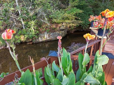 13 Choestoe Valley Circle Blairsville GA 30512