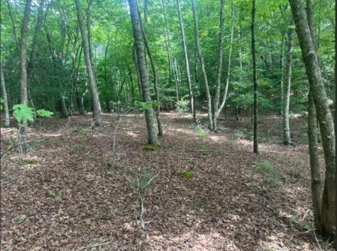 2 Thunder Road Hayesville NC 28904