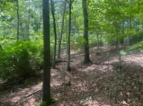 2 Thunder Road Hayesville NC 28904
