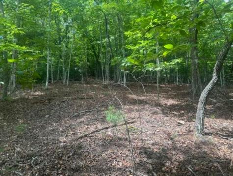2 Thunder Road Hayesville NC 28904