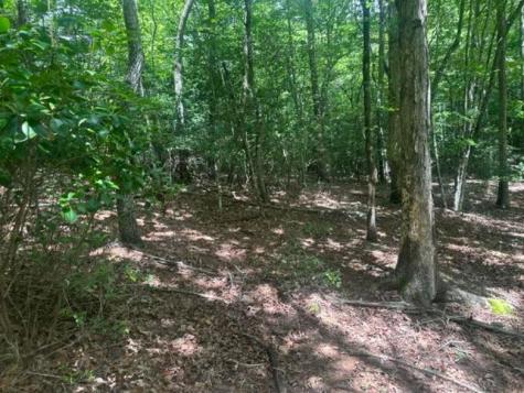 2 Thunder Road Hayesville NC 28904