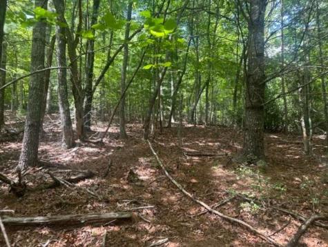 2 Thunder Road Hayesville NC 28904