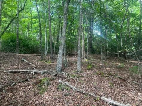 2 Thunder Road Hayesville NC 28904