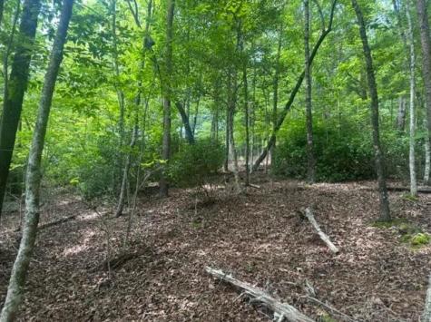 2 Thunder Road Hayesville NC 28904