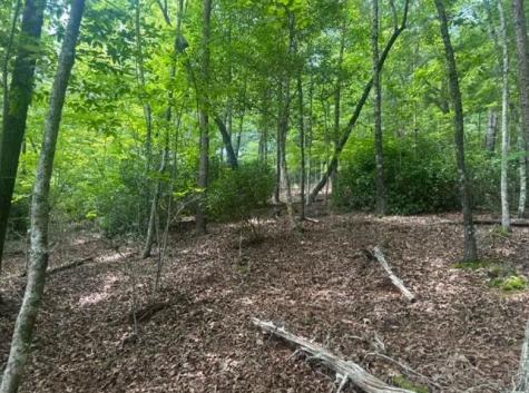 2 Thunder Road Hayesville NC 28904