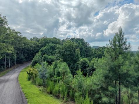Lot 83 Ridge Peak View Blairsville GA 30512