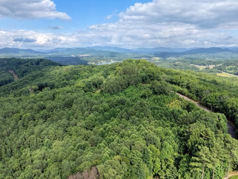 Lot 83 Ridge Peak View Blairsville GA 30512