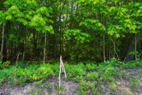 Tr 3 W Gum Log Road Warne NC 28909