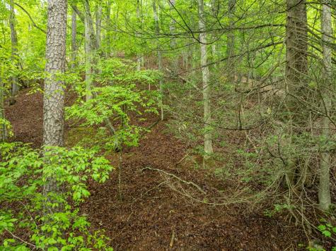 2601LT Parker Way Ellijay GA 30540