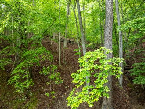 2601LT Parker Way Ellijay GA 30540