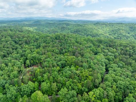 2601LT Parker Way Ellijay GA 30540