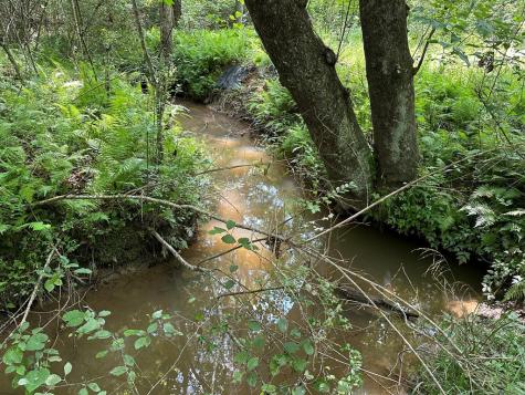 Lot 30 Fairview Drive Morganton GA 30560