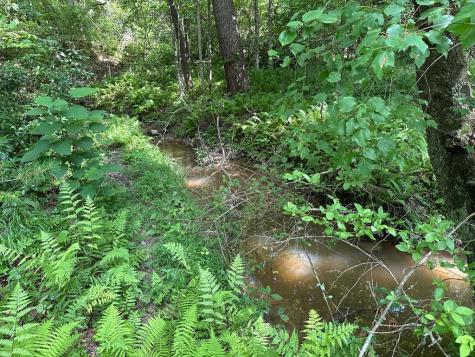 Lot 30 Fairview Drive Morganton GA 30560