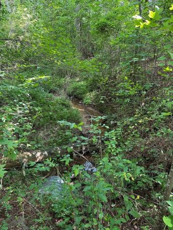 Lot 30 Fairview Drive Morganton GA 30560