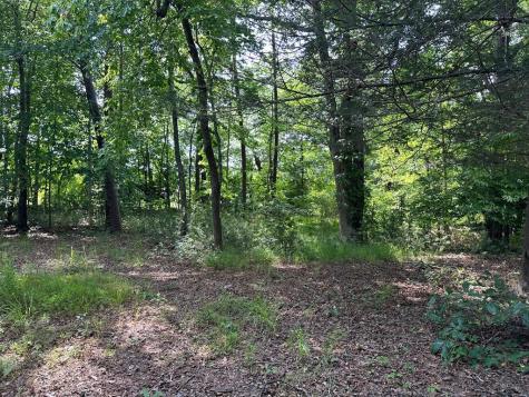 Lot 30 Fairview Drive Morganton GA 30560