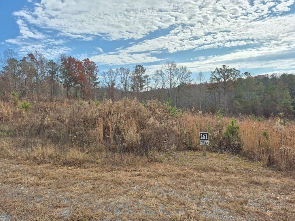 00 Highgrove Drive Ellijay GA 30540