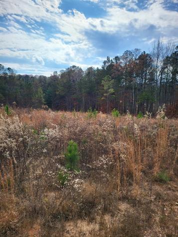 00 Highgrove Drive Ellijay GA 30540