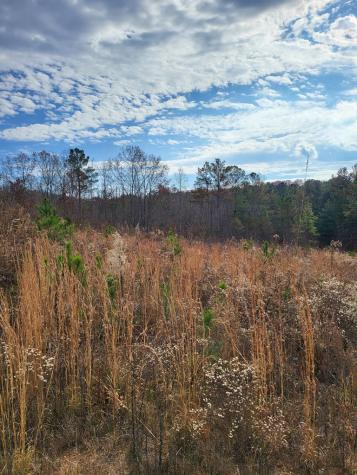 00 Highgrove Drive Ellijay GA 30540