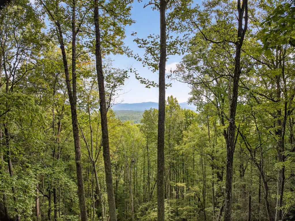 00 Hayden Lane Murphy NC 28906