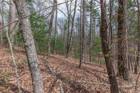Lot 7a Glenridge Way Ellijay GA 30540