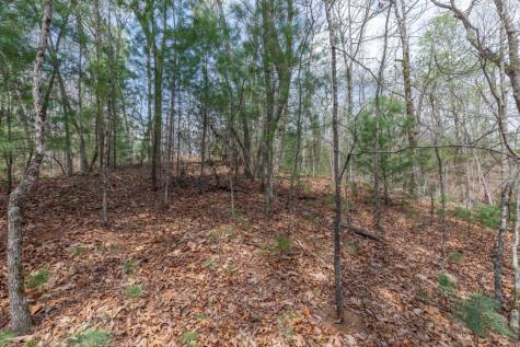 Lot 7a Glenridge Way Ellijay GA 30540