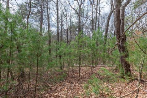 Lot 7a Glenridge Way Ellijay GA 30540
