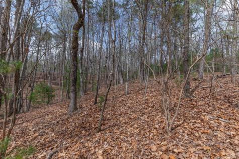 Lot 7a Glenridge Way Ellijay GA 30540