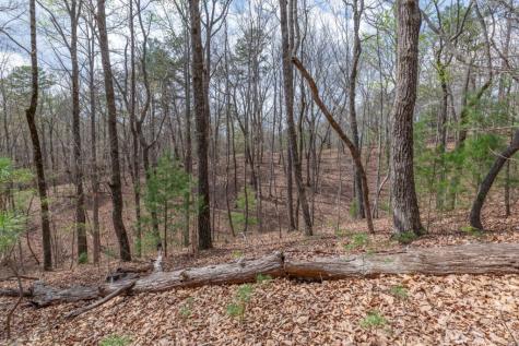 Lot 7a Glenridge Way Ellijay GA 30540