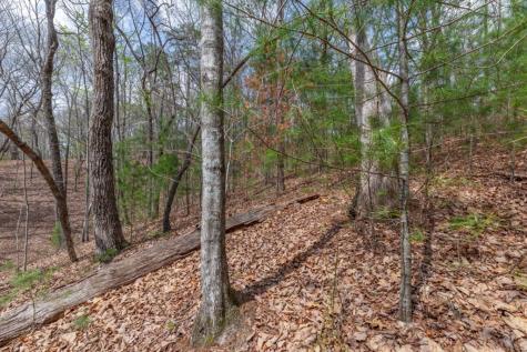 Lot 7a Glenridge Way Ellijay GA 30540