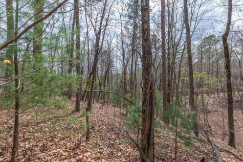 Lot 7a Glenridge Way Ellijay GA 30540