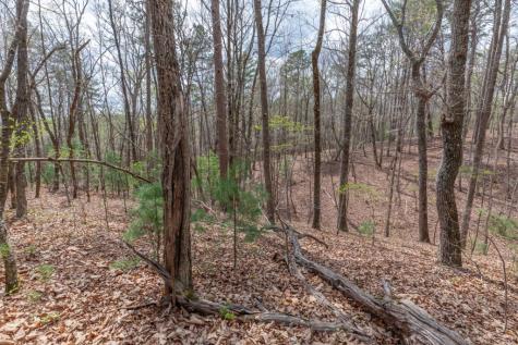 Lot 7a Glenridge Way Ellijay GA 30540