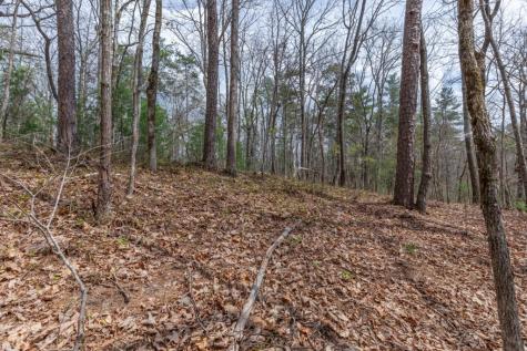 Lot 7a Glenridge Way Ellijay GA 30540