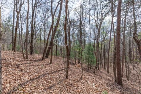 Lot 7a Glenridge Way Ellijay GA 30540