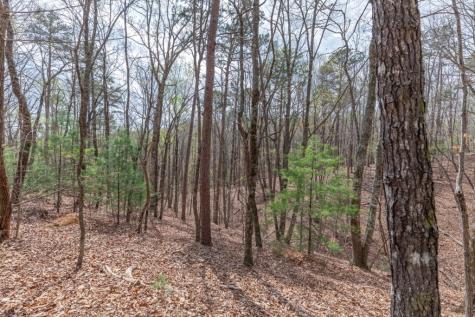 Lot 7a Glenridge Way Ellijay GA 30540
