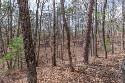 Lot 7a Glenridge Way Ellijay GA 30540