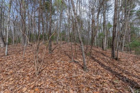 Lot 7a Glenridge Way Ellijay GA 30540