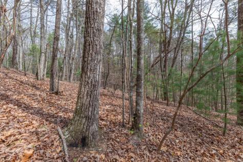 Lot 7a Glenridge Way Ellijay GA 30540