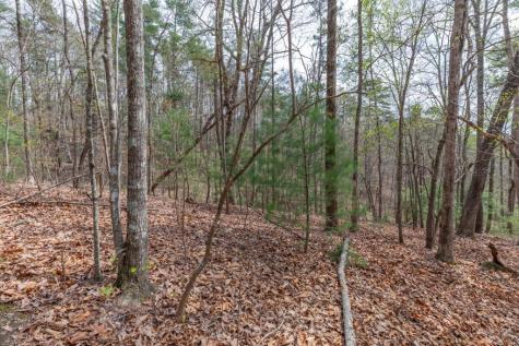 Lot 7a Glenridge Way Ellijay GA 30540