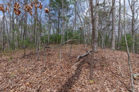 Lot 7a Glenridge Way Ellijay GA 30540