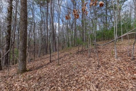 Lot 7a Glenridge Way Ellijay GA 30540