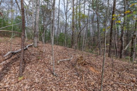 Lot 7a Glenridge Way Ellijay GA 30540