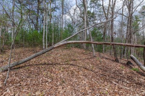Lot 7a Glenridge Way Ellijay GA 30540