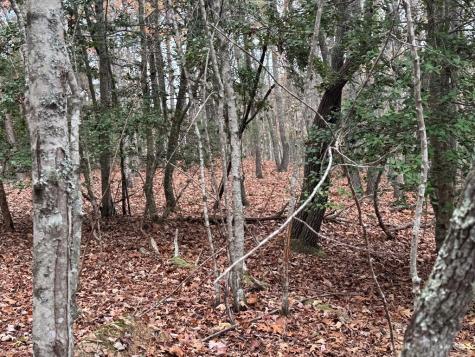 9 Paradise Park Road Brasstown NC 28902