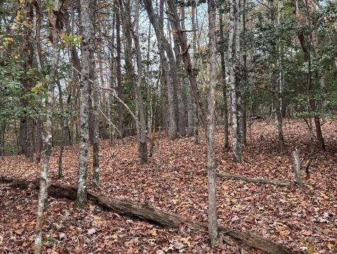 9 Paradise Park Road Brasstown NC 28902